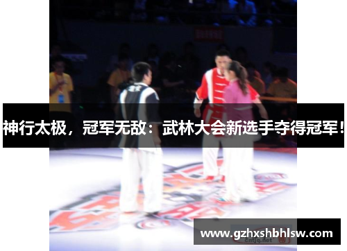 神行太极，冠军无敌：武林大会新选手夺得冠军！